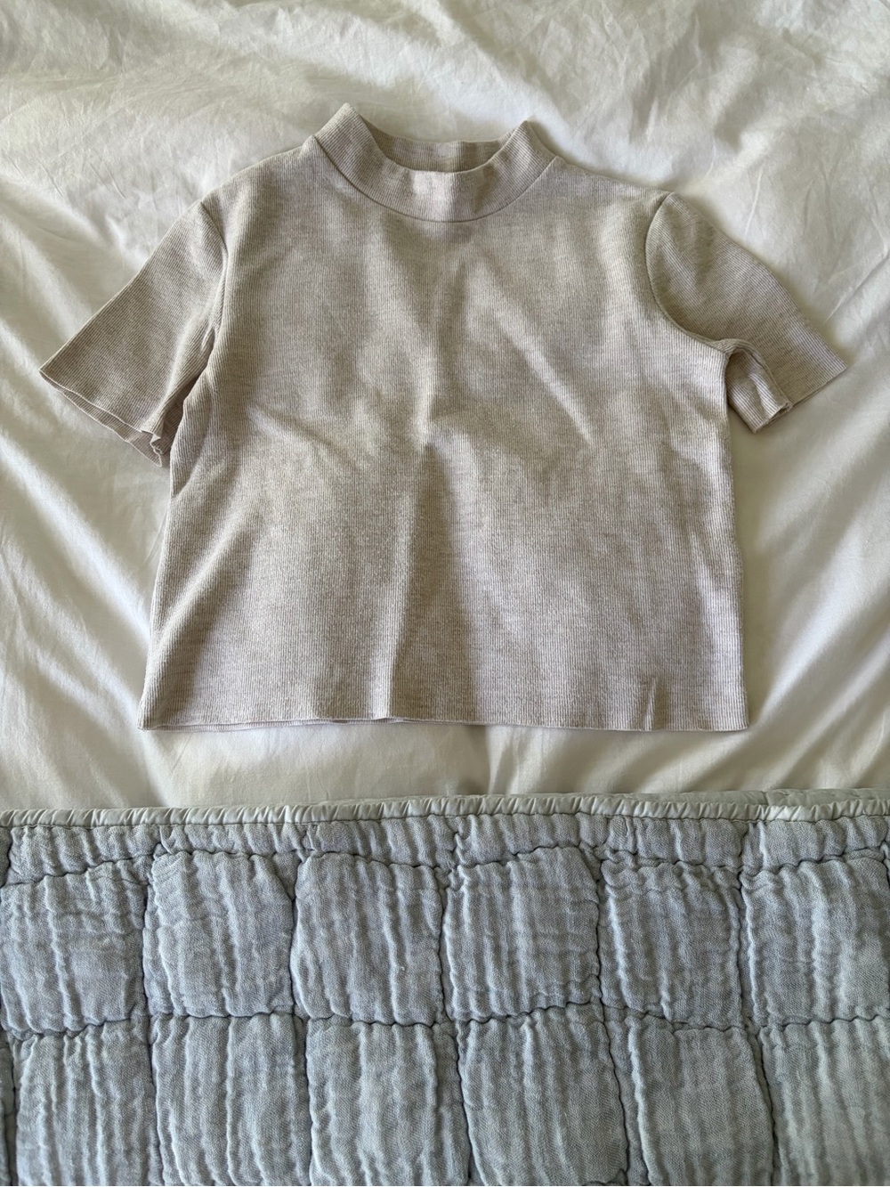 Zara Light Beige Mock Neck Short Sleeve Top